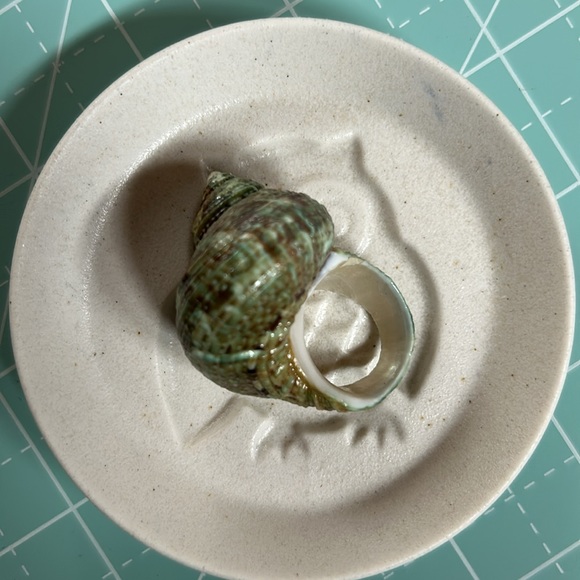 Unique Green Shell Ring - Picture 4 of 6